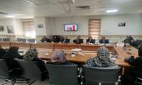 برگزاری جلسه آموزشی تب خونریزی دهنده کنگو و کریمه جهت رابطین بهداشتی