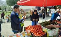 بازدید از جمعه‌بازار فیروزکوه با هدف ارتقای سلامت و بهداشت عمومی