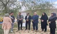 درختی به نام من؛ پیوند نمادین حیات نوزادان فیروزکوهی با طبیعت در روز ملی جمعیت